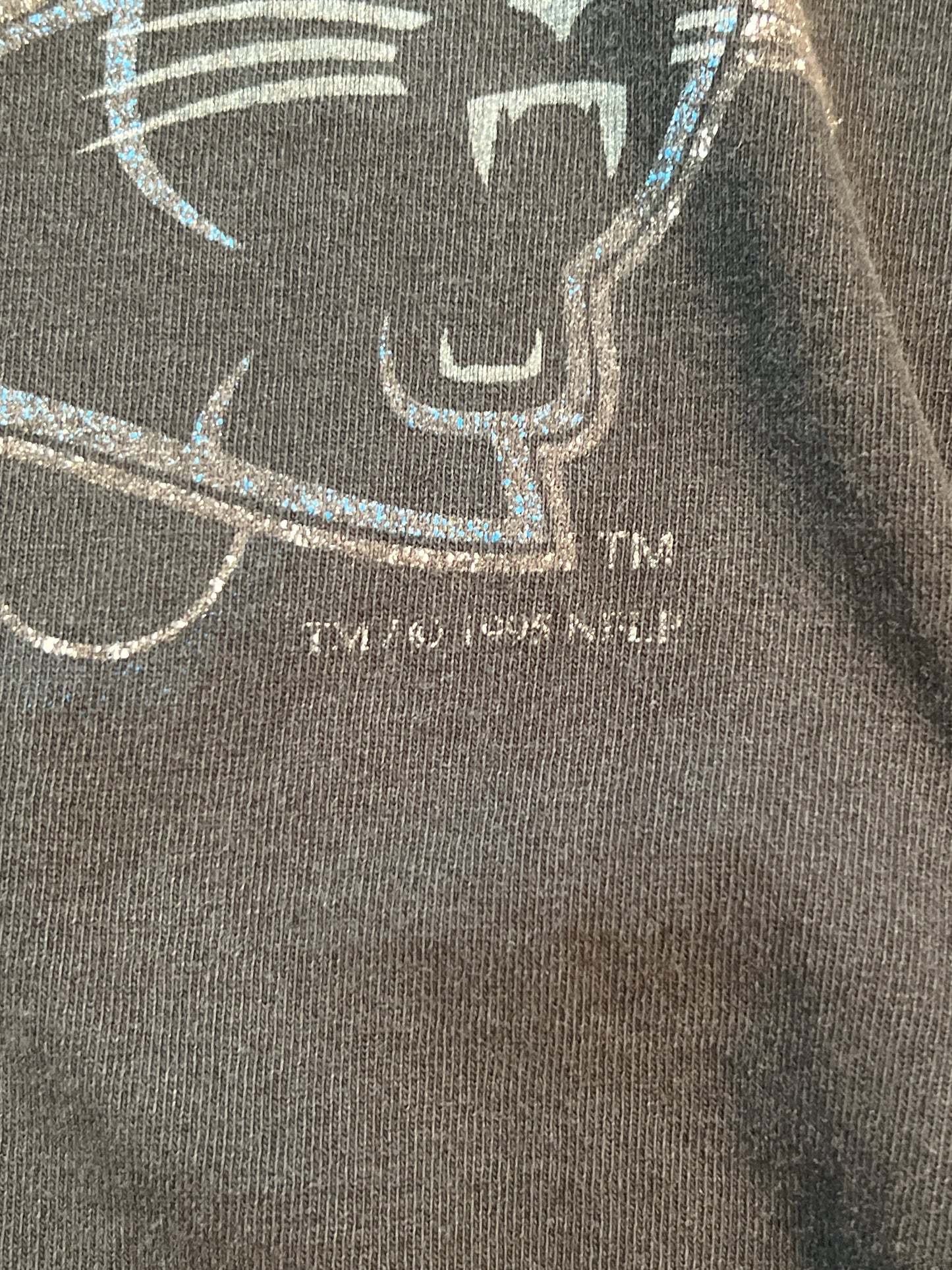 1995 Carolina Panthers Tshirt, Size L