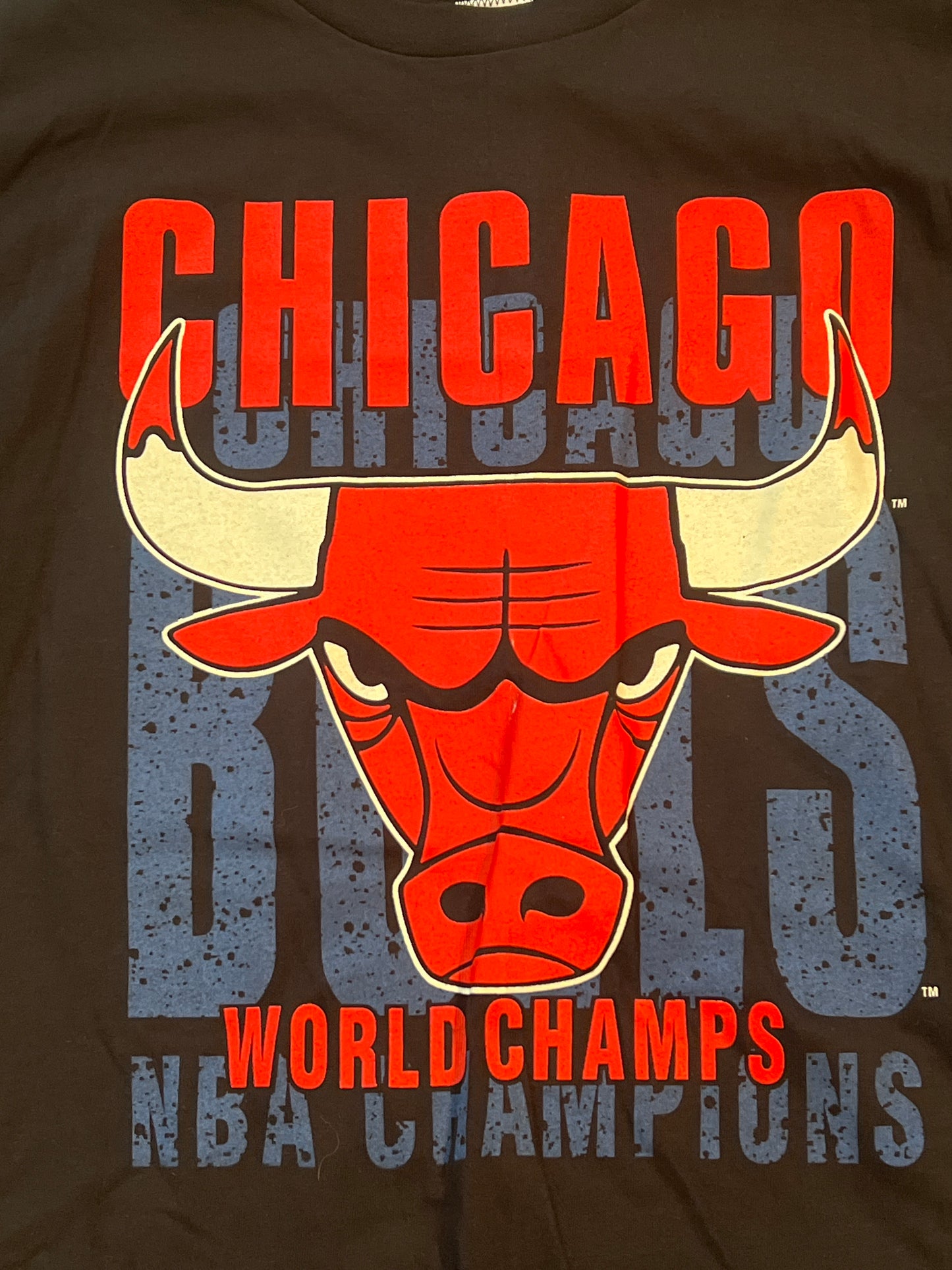 NWT 90s Chicago Bulls World Champs Tshirt, Size XL