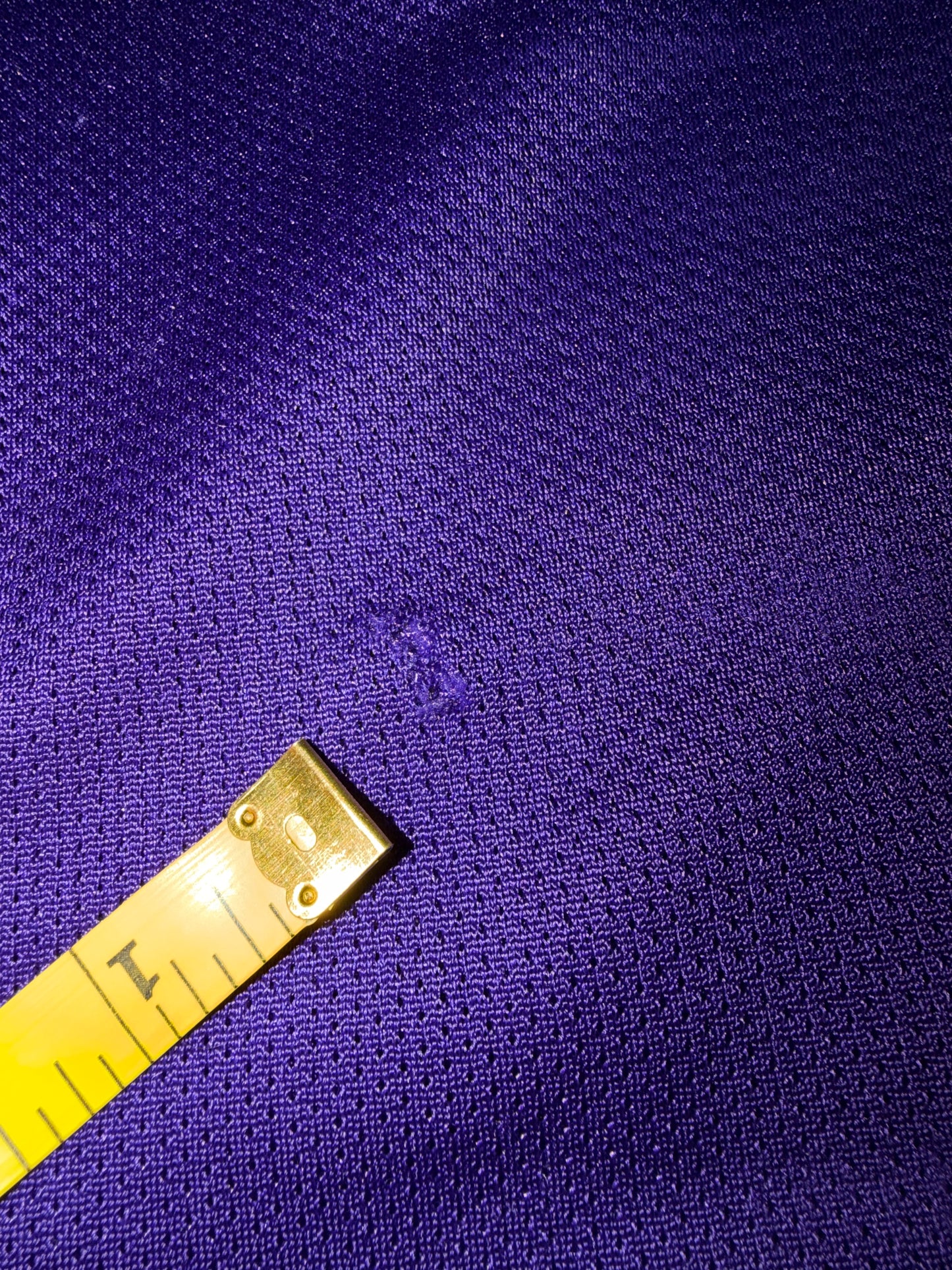 Champion Penny Hardaway Phoenix Suns #1 Jersey Medium Purple
