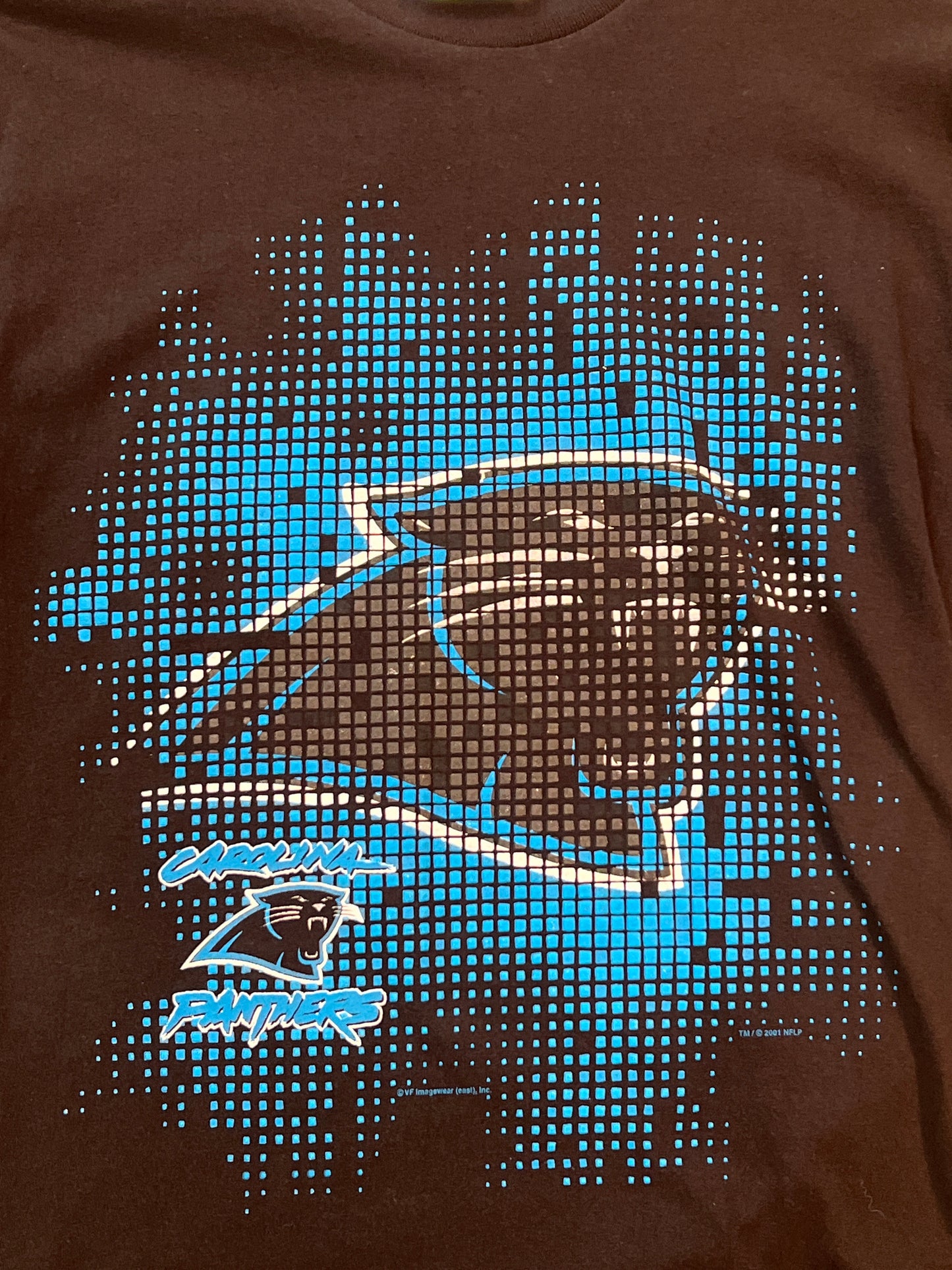 2001 Carolina Panthers Tshirt, Size M
