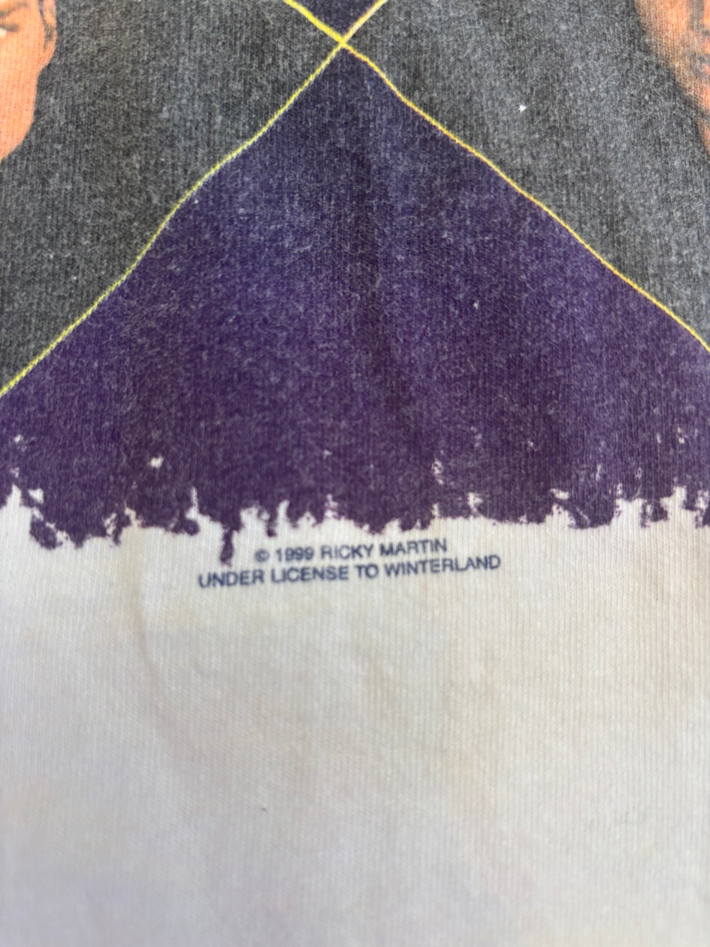 1999 Ricky Martin Vintage Band TShirt, Size Small