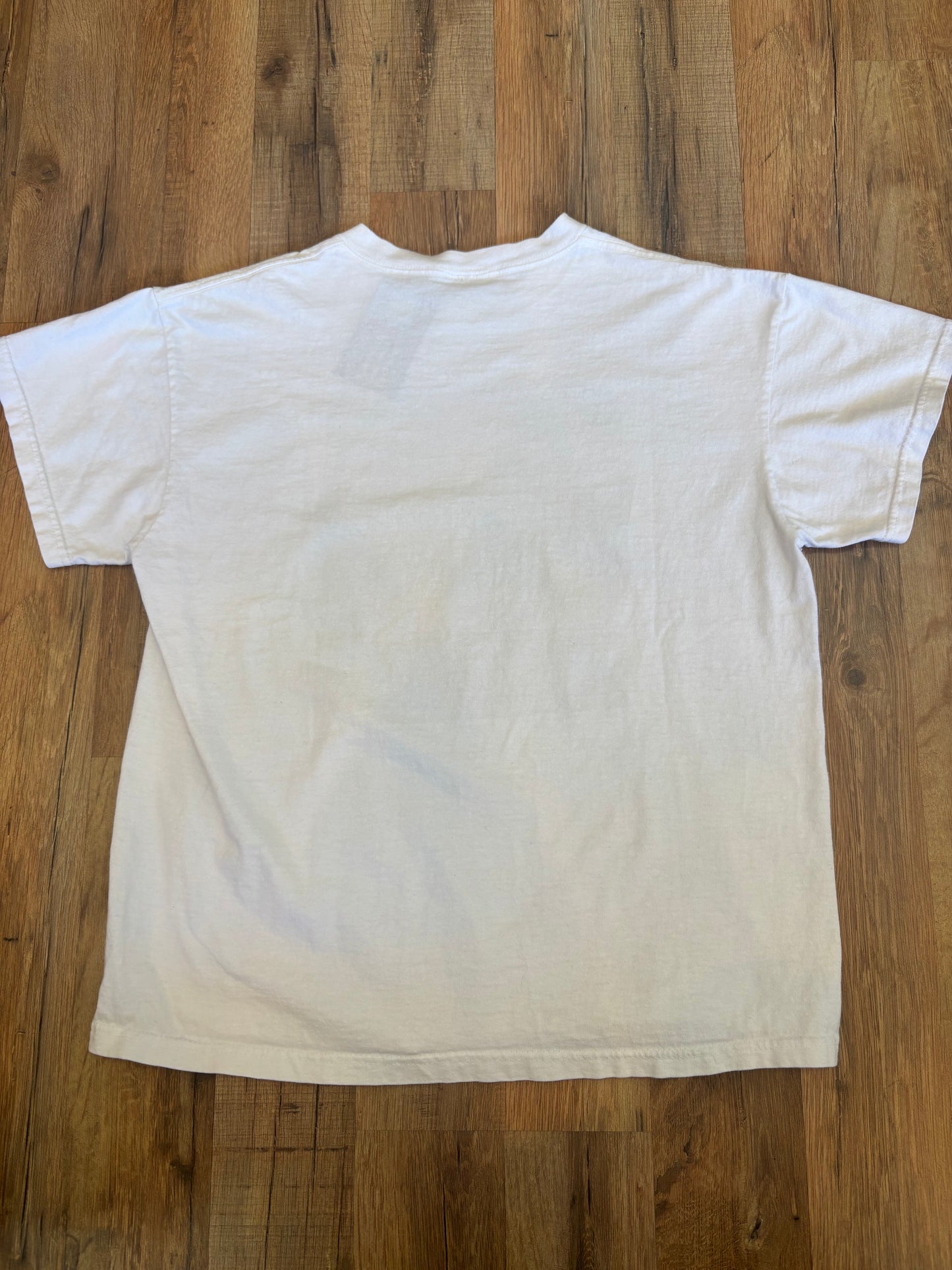 1999 Ricky Martin Vintage Band TShirt, Size Small