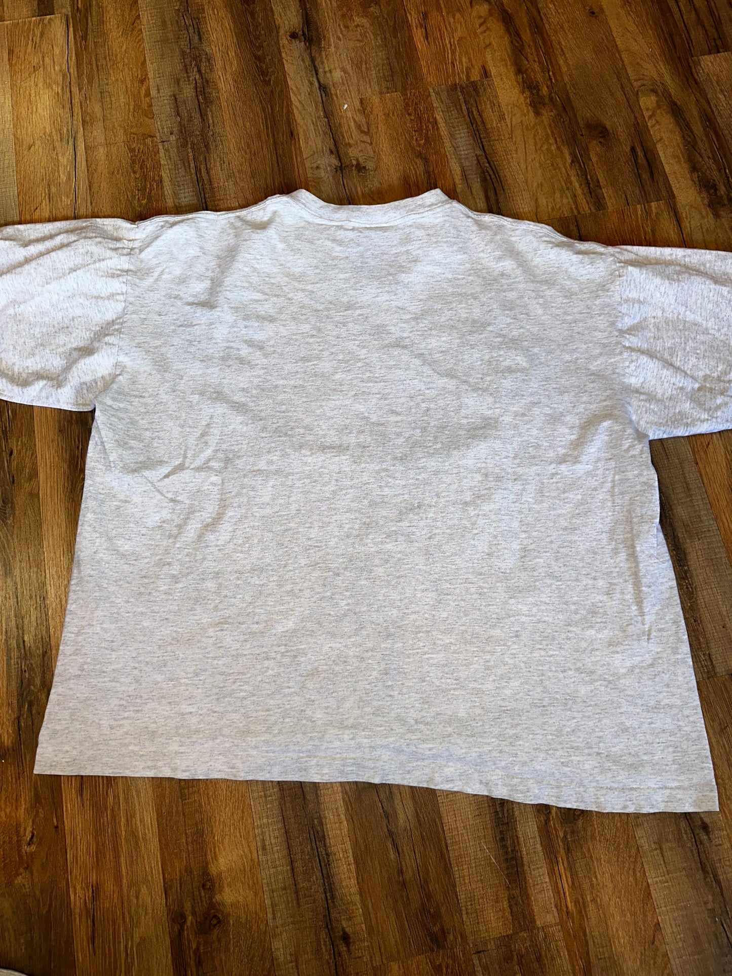 Vintage Carolina Panthers XXL Pro Line Authentic XXL Heather Grey XL Logo Athletic 1993