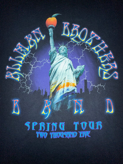 Vintage 2005 The Allman Brothers Band Spring Tour Shirt Statue of Liberty NYC Concert Music Size XL