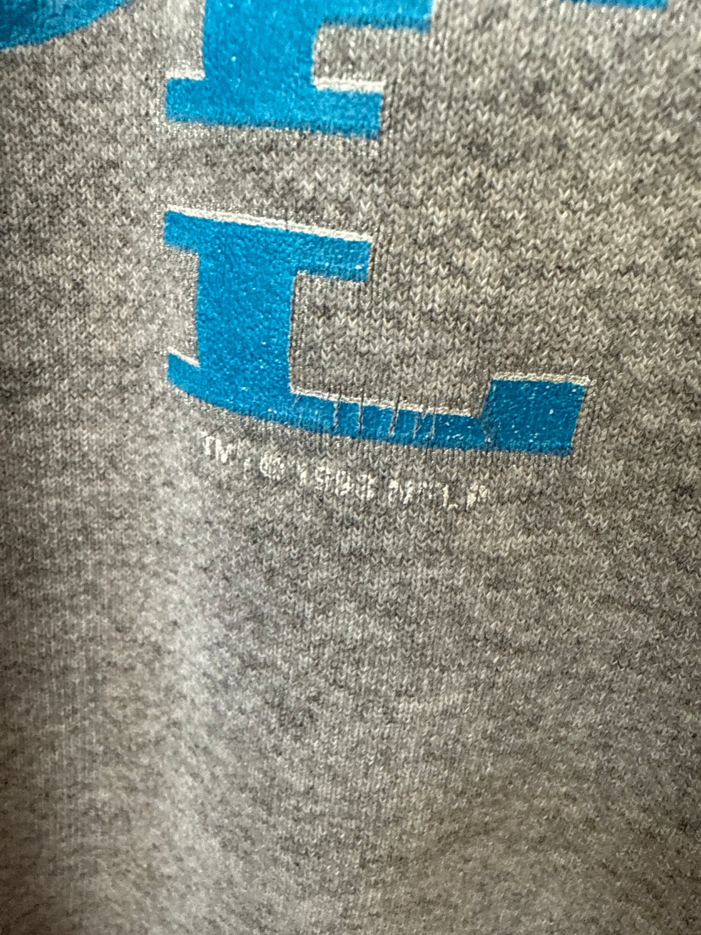 1998 Carolina Panthers Flinstones Crewneck, Size L