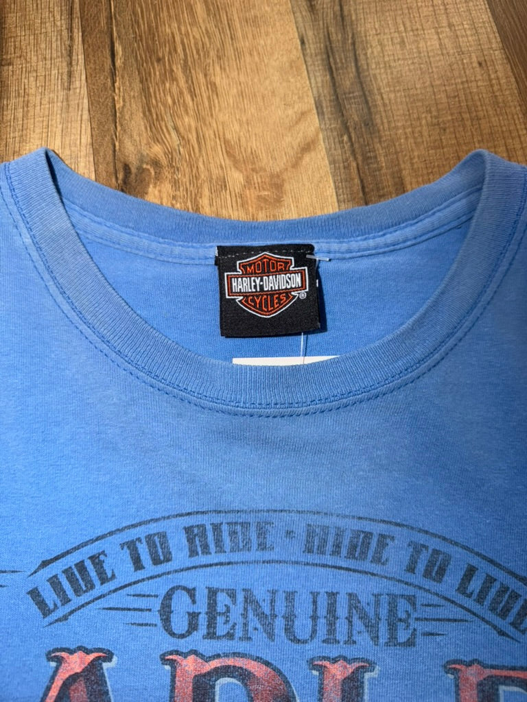 Harley-Davidson Asheville NC Shirt Blue Ridge Parkway XL Blue