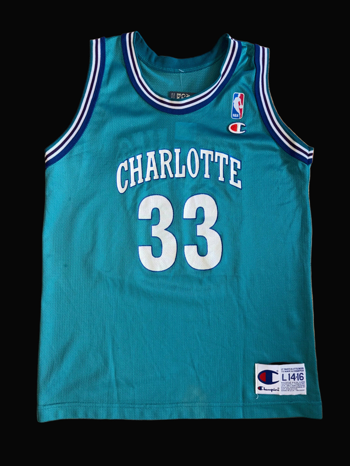 Champion Charlotte Hornets Alonzo Mourning #33 Teal Jersey