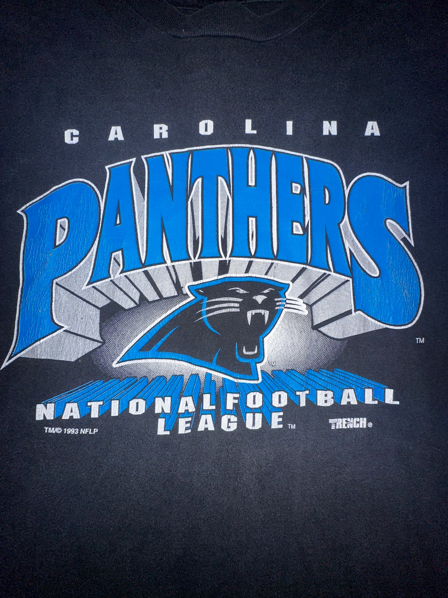 Vintage 1993 Carolina Panthers NFL Football Size XL Black Charlotte NC Hanes