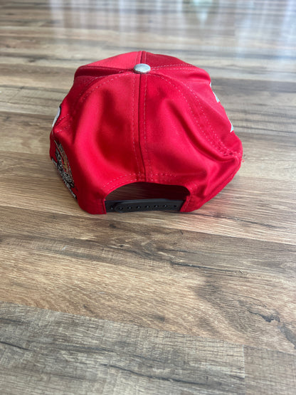 1995 Winston Cup NASCAR Championship Hat