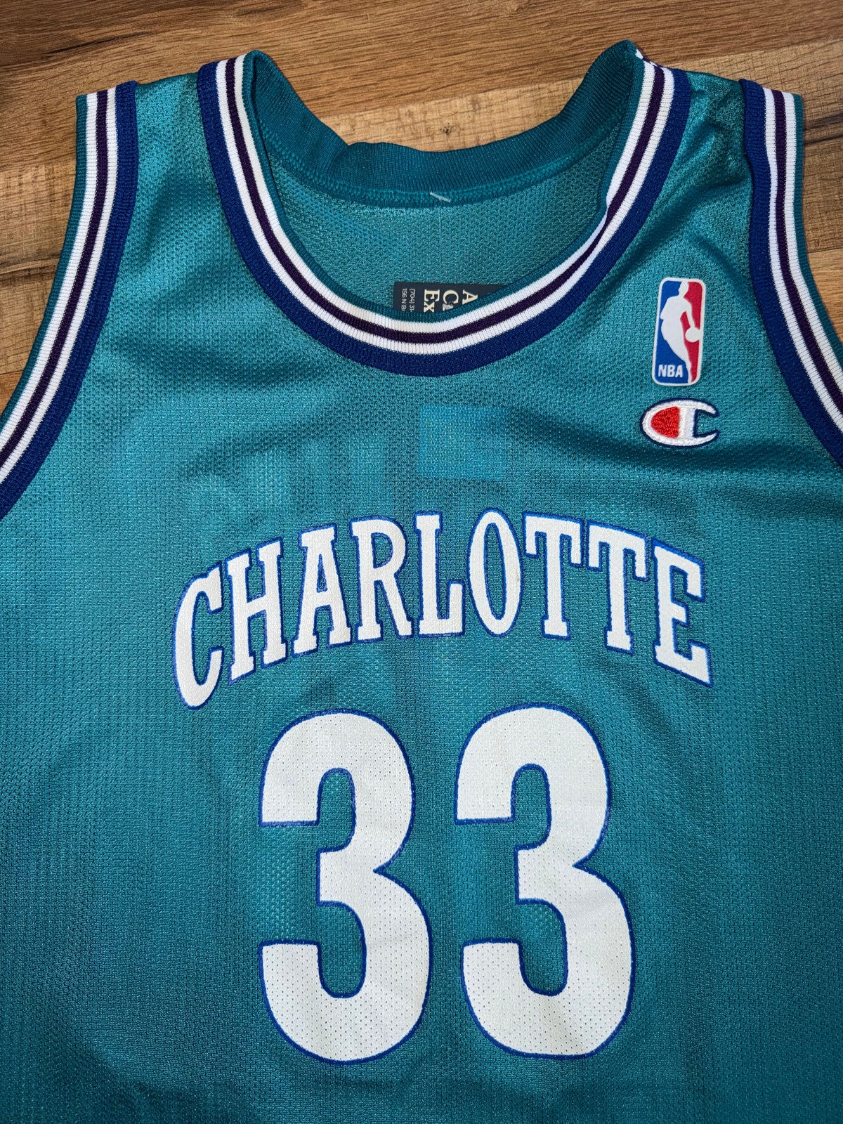 Champion Charlotte Hornets Alonzo Mourning #33 Teal Jersey