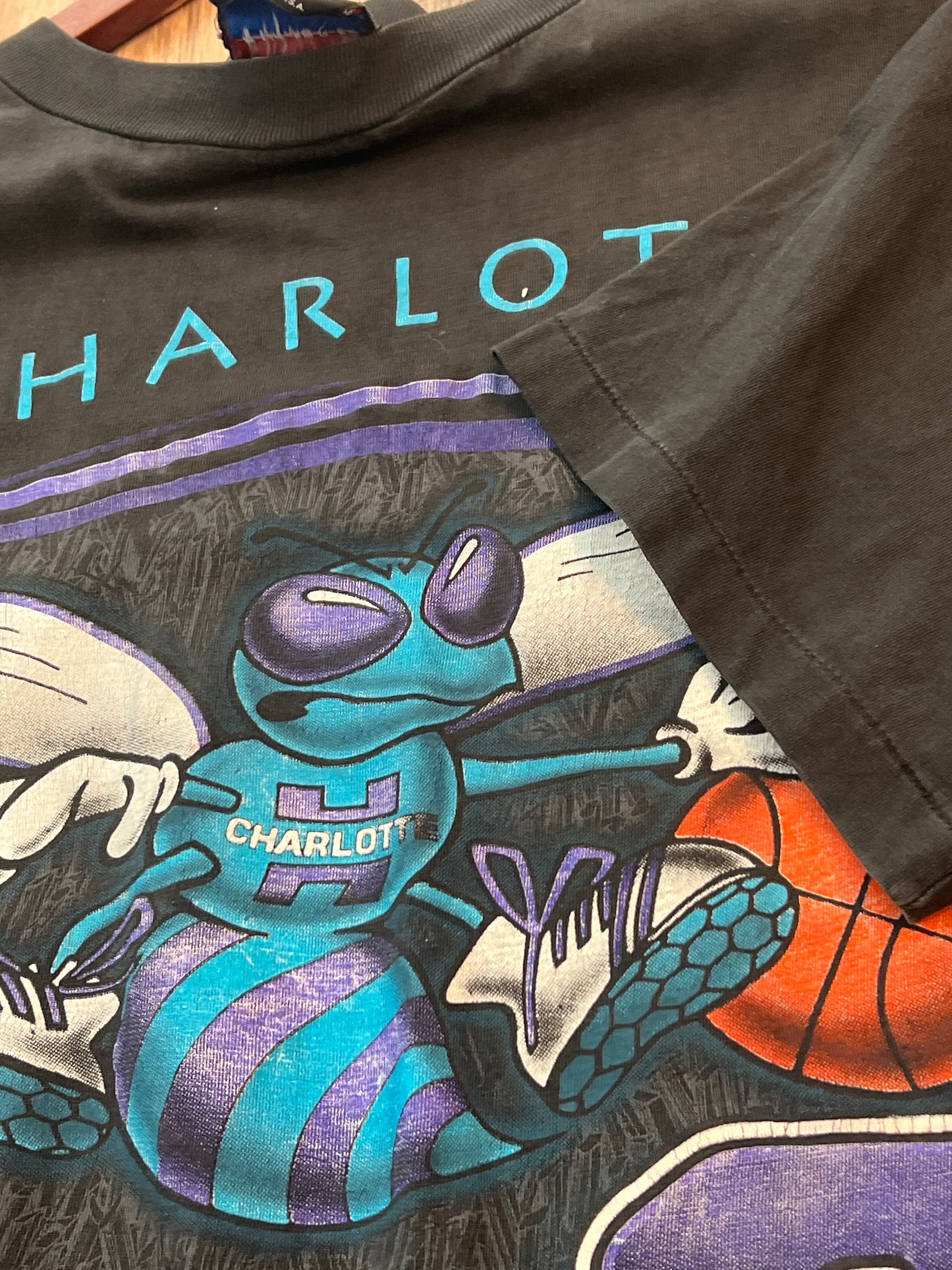 90s NBA Charlotte Hornets Tshirt, Size XL