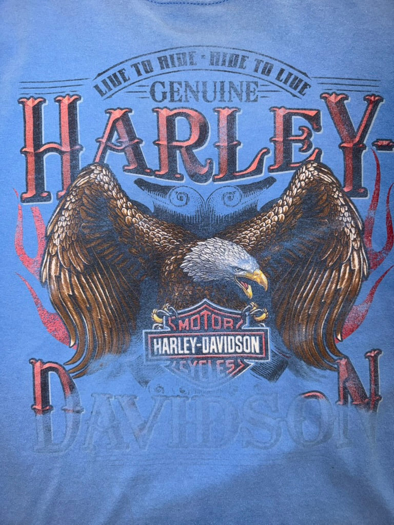 Harley-Davidson Asheville NC Shirt Blue Ridge Parkway XL Blue