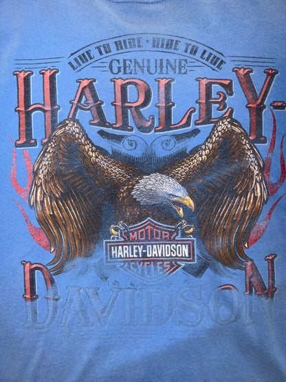 Harley-Davidson Asheville NC Shirt Blue Ridge Parkway XL Blue