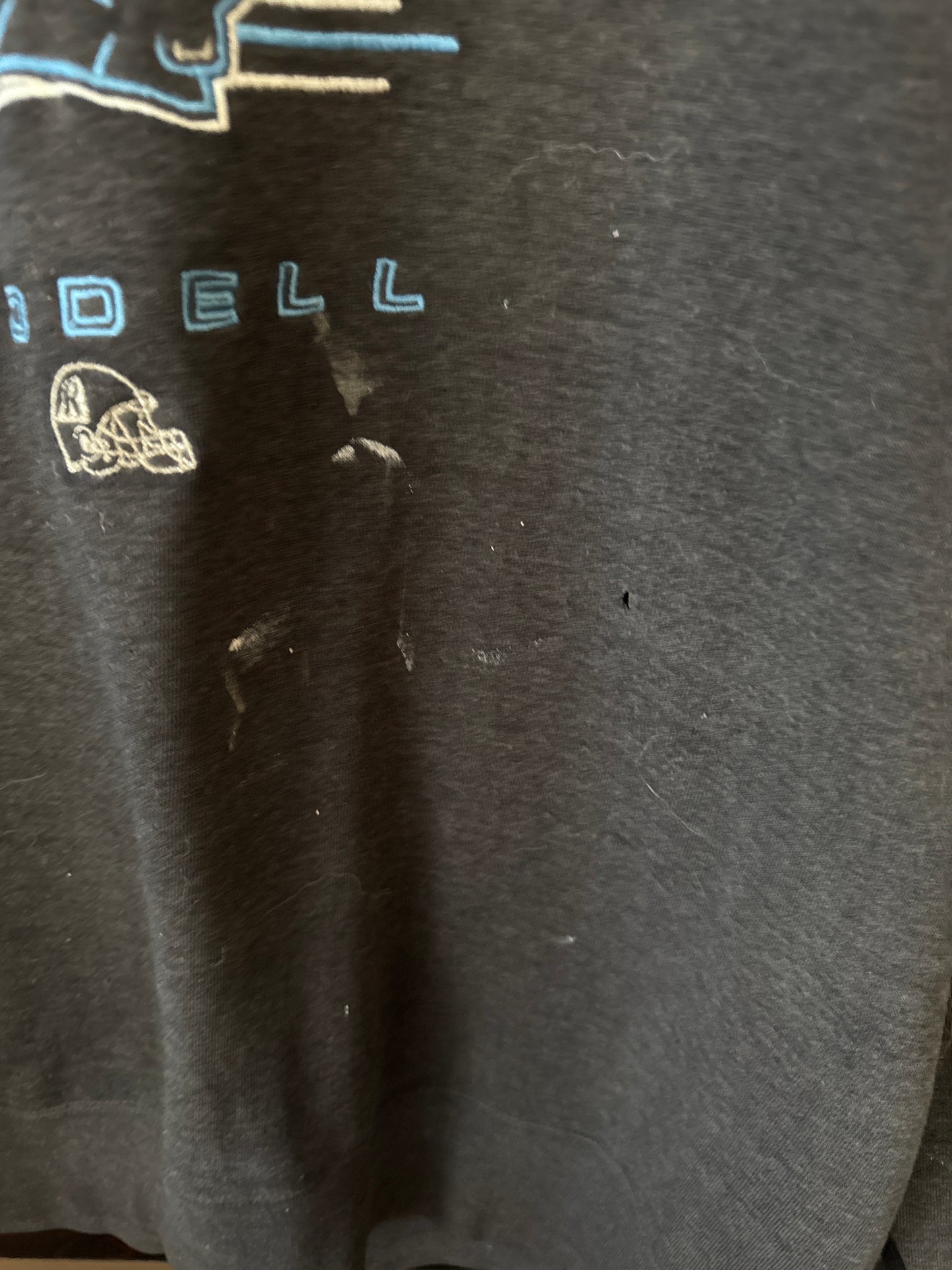 90s Panthers Ridddell Sweatshirt, Size XL