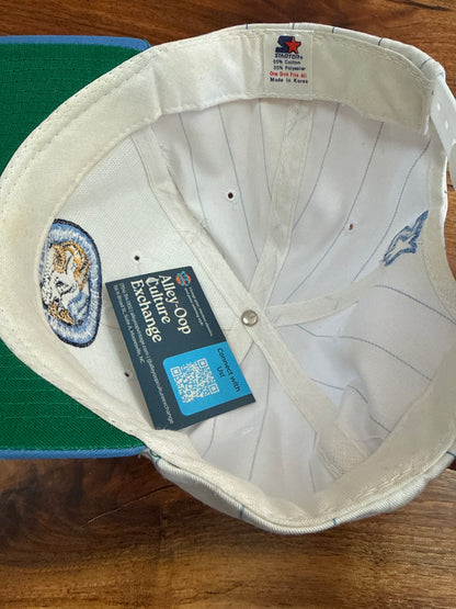 90s UNC Tar Heels Pinstripe SnapBack