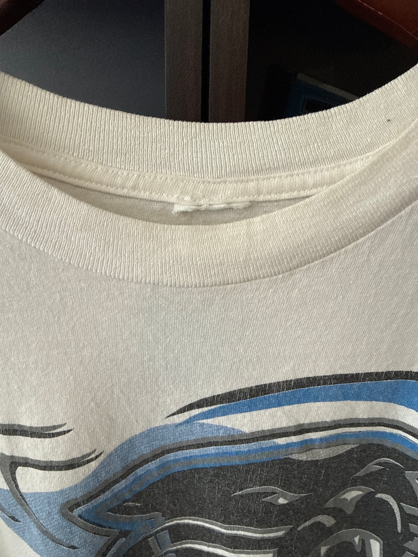 1993 Carolina Panthers Tshirt Salem Sports, Size L
