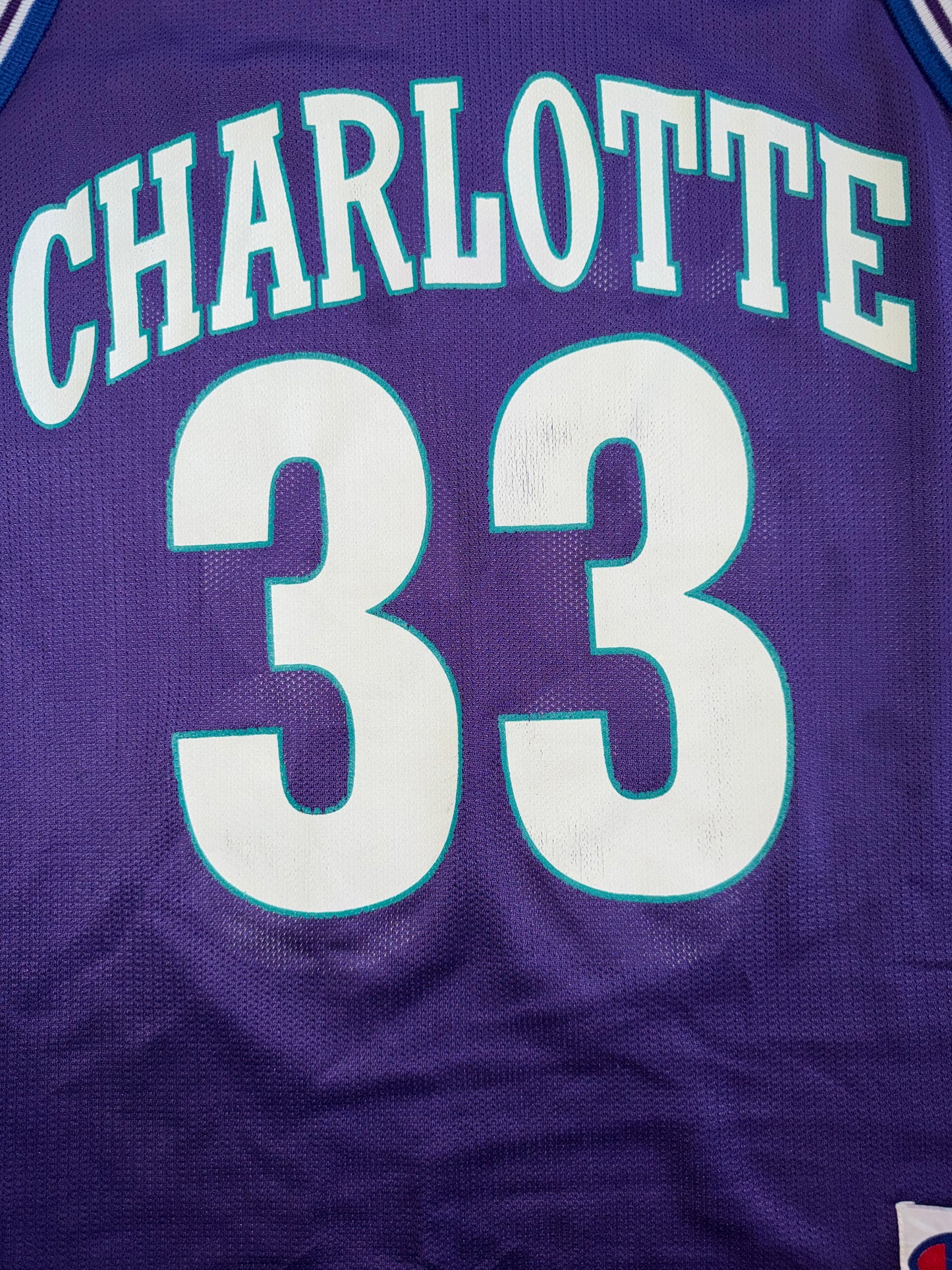 Champion Charlotte Hornets Alonzo Mourning #33 Purple Jersey Size 40